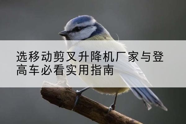 康马电动升降机厂家-选移动剪叉升降机厂家与登高车必看实用指南