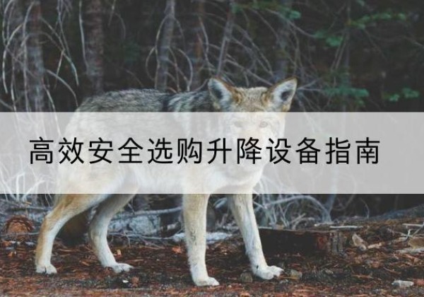 康马升降货梯厂家推荐-*安全选购升降设备指南